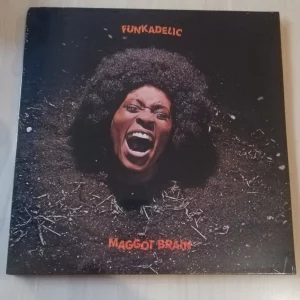 Funkadelic - Maggot Brain